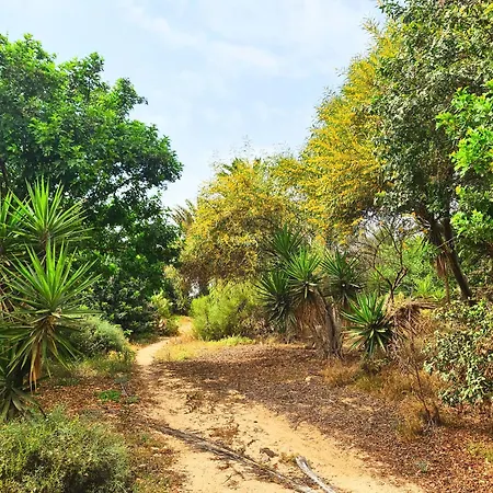 Premium Isabel * Costa Calma