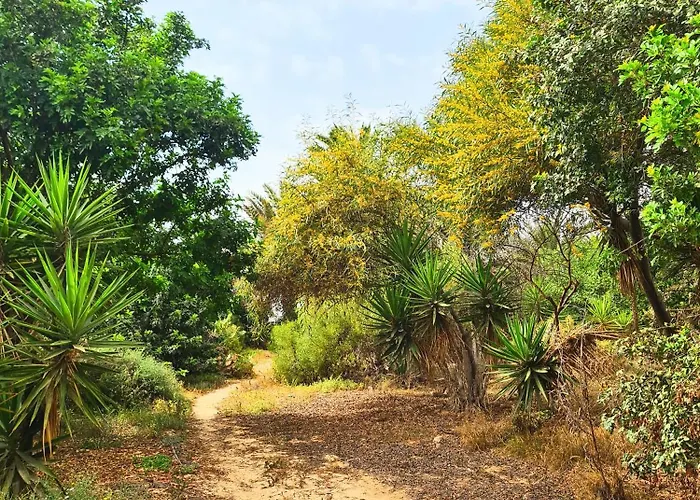 Premium Isabel * 코스타카르마